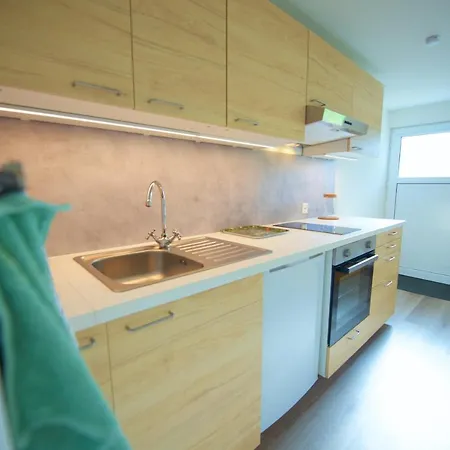 Daire Loft Avec Sauna Leysin