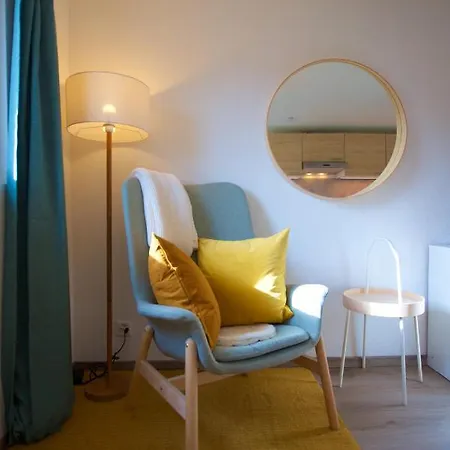 Loft Avec Sauna * 莱森