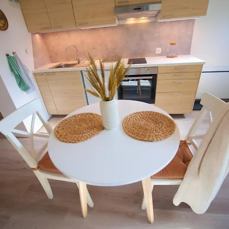 Loft Avec Sauna Apartment Leysin