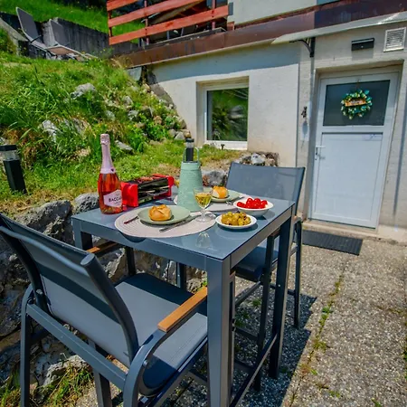Appartement Loft Avec Sauna & Terrasses Alpines Leysin