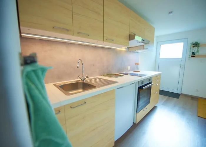 Apartament Loft Avec Sauna Leysin