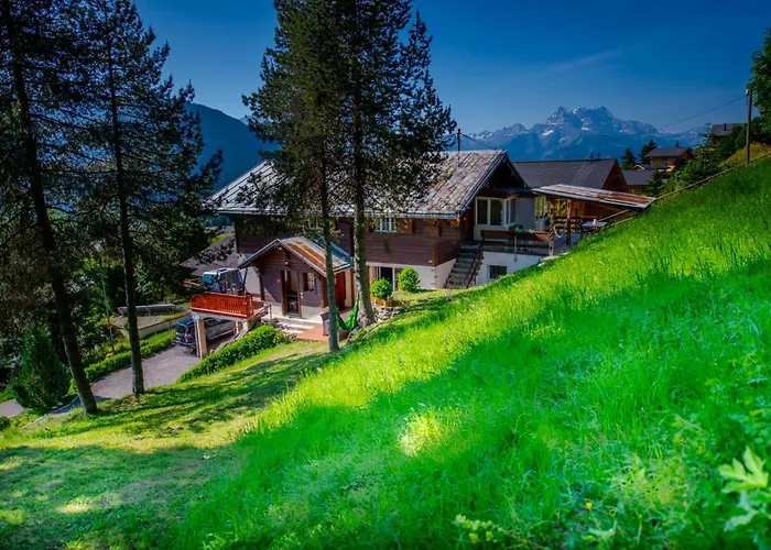 Apartament Loft Avec Sauna Leysin