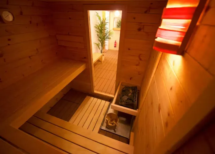 Loft Avec Sauna アパート レイサン