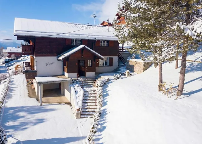 Apartament Loft Avec Sauna Leysin