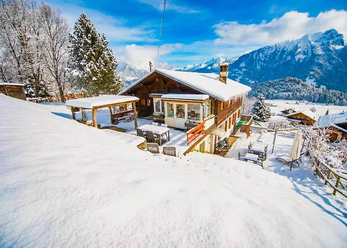Loft Avec Sauna * Leysin